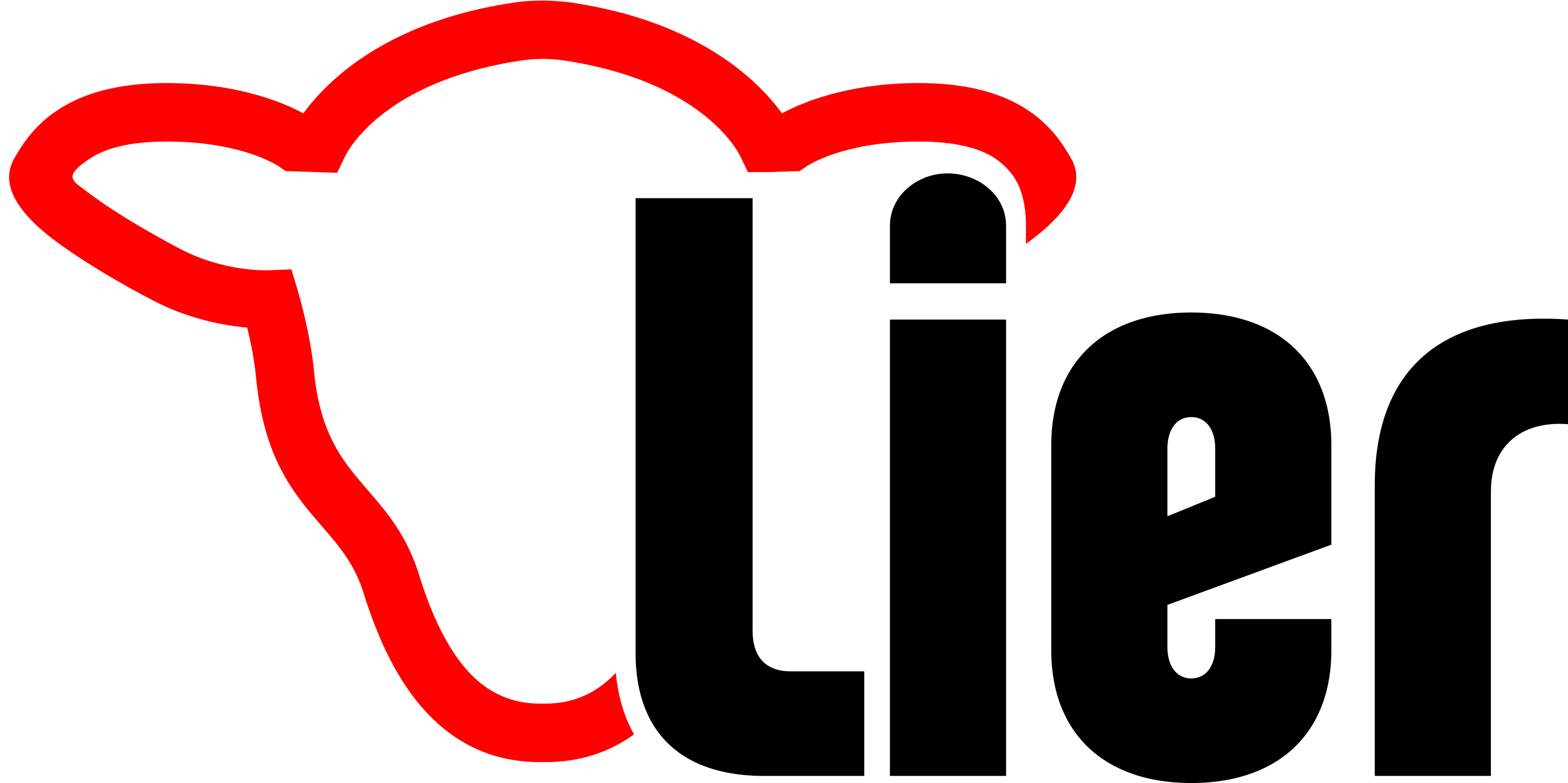 Logo lier 2016