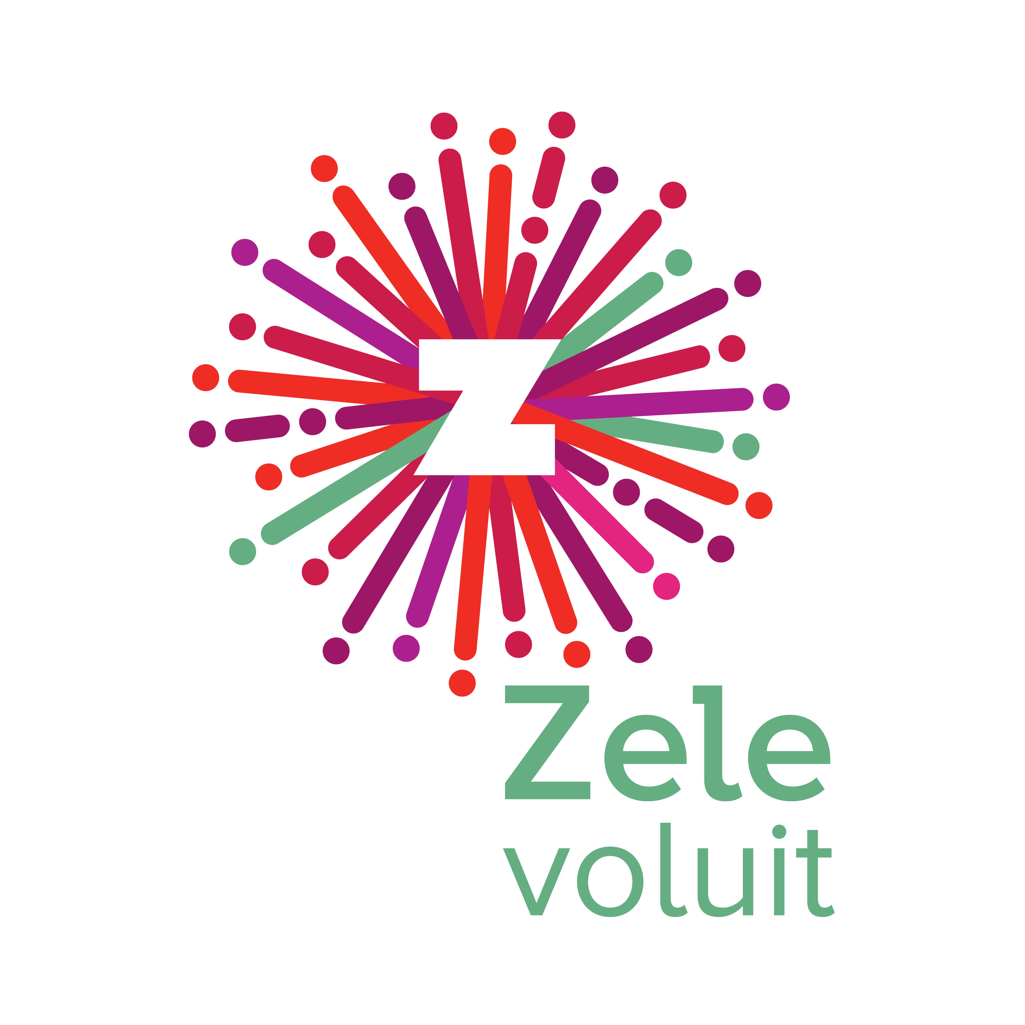 Zele logo jpg