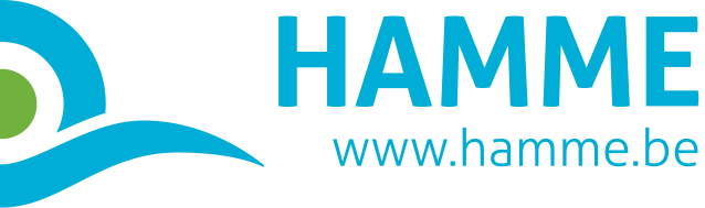 Logo OCMW Hamme