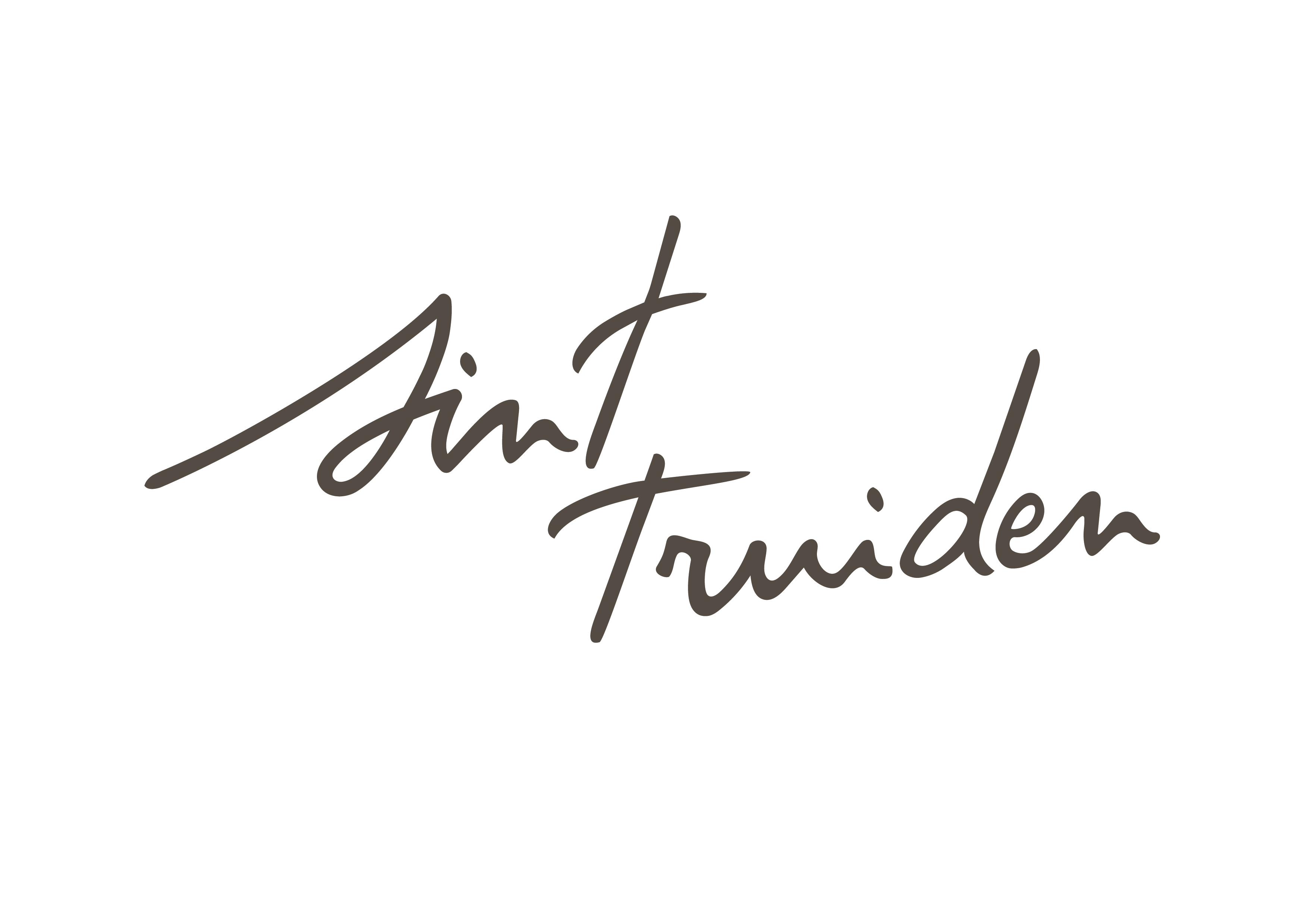 Logo Lokaal bestuur Sint-Truiden
