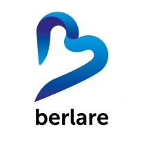 Logo Lokaal bestuur Berlare